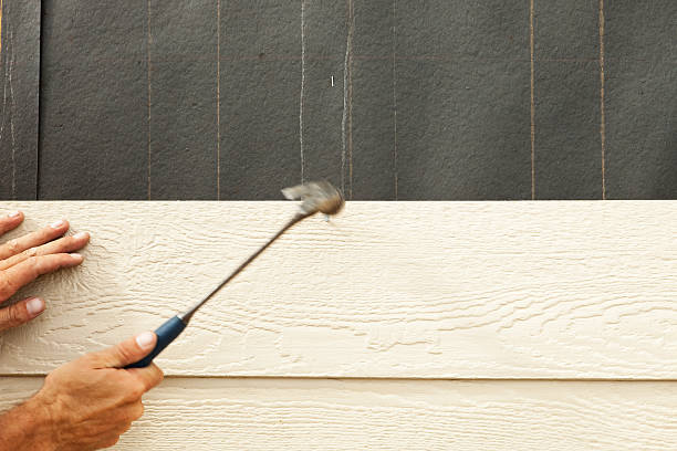 Best Stone Veneer Siding  in Johnsonburg, PA